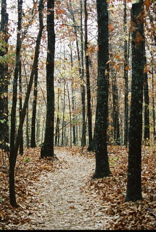 Copy of 10-13-2006-04