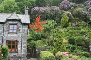 WalesSnowdonia.Wed-105